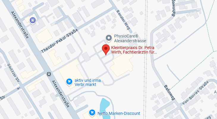 Karte auf Google Maps